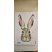 Lapin