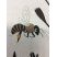 Abeille