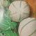 Melon 