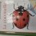 Coccinelle