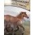 Le brumby