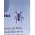 Les fourmis rousses