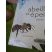 Abeille