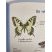 Papillon machaon