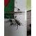 Insecte