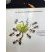 Fourmis