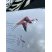 Flamant rose