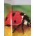 Coccinelle