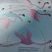 Flamants roses