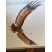 Grand aigle