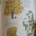 Ginkgo