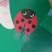 Coccinelle