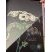 Carotte sauvage