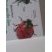Coccinelle