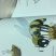 Abeille
