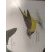L'oiseau