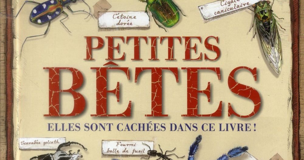 Petites bêtes - LITTERNATURE