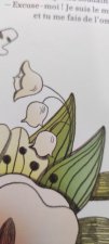 Muguet de mai