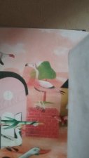 Flamant rose