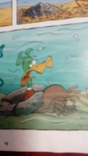 canard