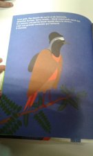 Rouge guorge