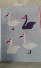 Cygne