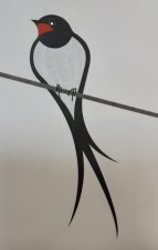 Hirondelle