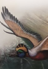 Microraptor