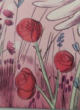 Des roses