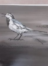 Oiseau