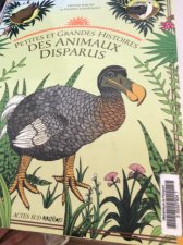 Dodo