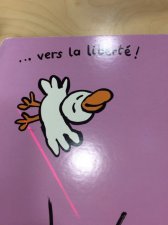 Aigle