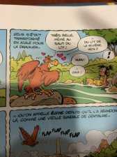 aigle