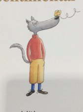 Rhopalocere