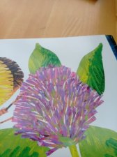 Fleur du trèfle