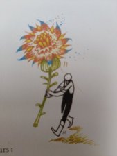 Fleur 