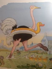 Autruche