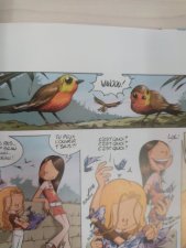 oiseau