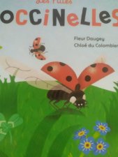 Coccinelle