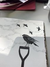 Passériformes