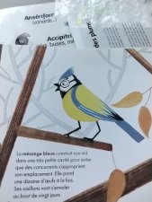 Passériformes