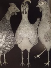 poules