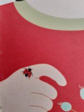 Insecte