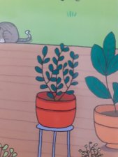 Plante