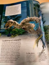 caudipteryx