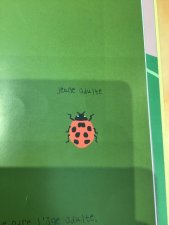 Coccinelle