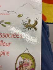 Oiseautosaure