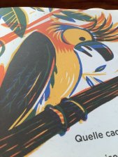 Cacatoès