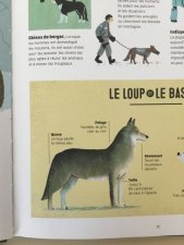 Le loup