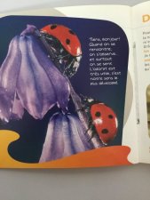 Insectes